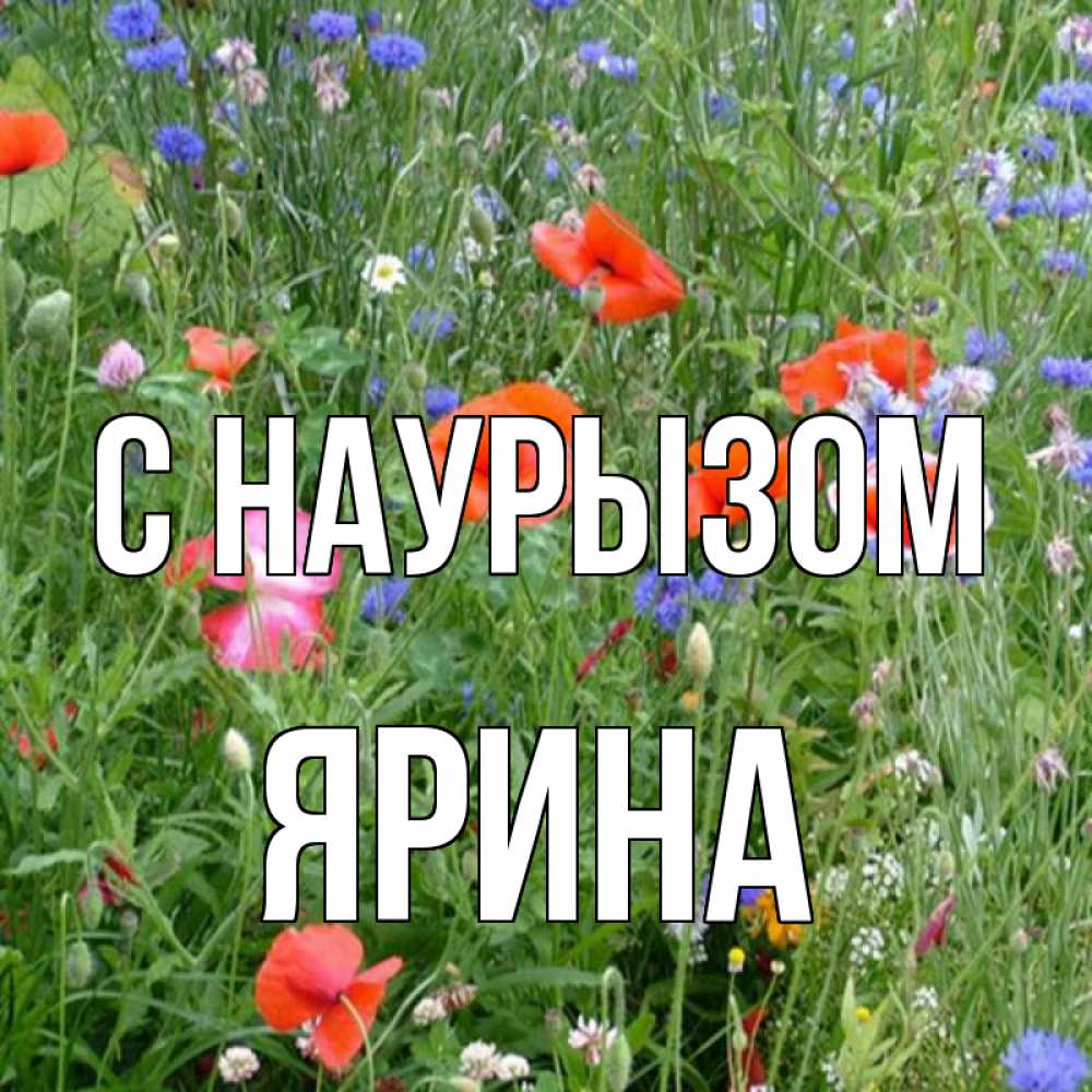 Открытка на каждый день с именем, Ярина С наурызом праздник весны наурыз супер открытка Прикольная открытка с пожеланием онлайн скачать бесплатно 
