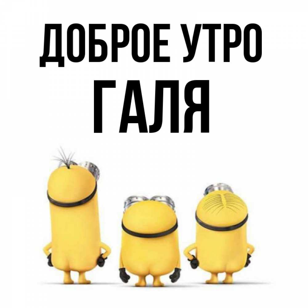 Галя доброго. Галя доброго