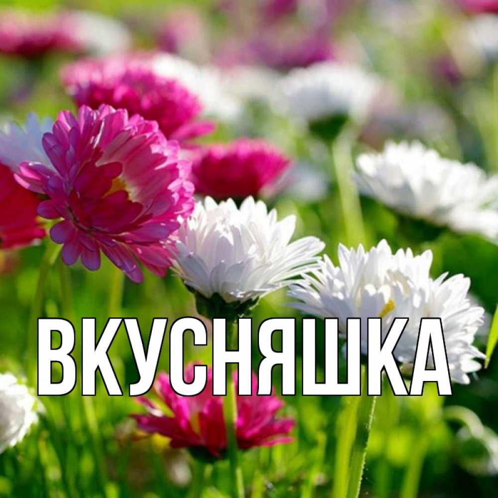 Открытка на каждый день с именем, Вкусняшка Главная наурыз Прикольная открытка с пожеланием онлайн скачать бесплатно 