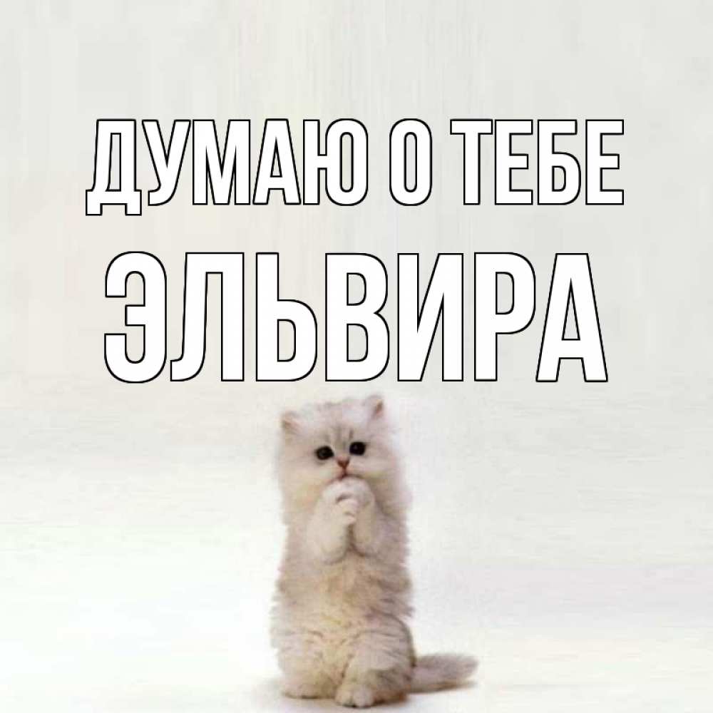 Эльвира открытки читать
