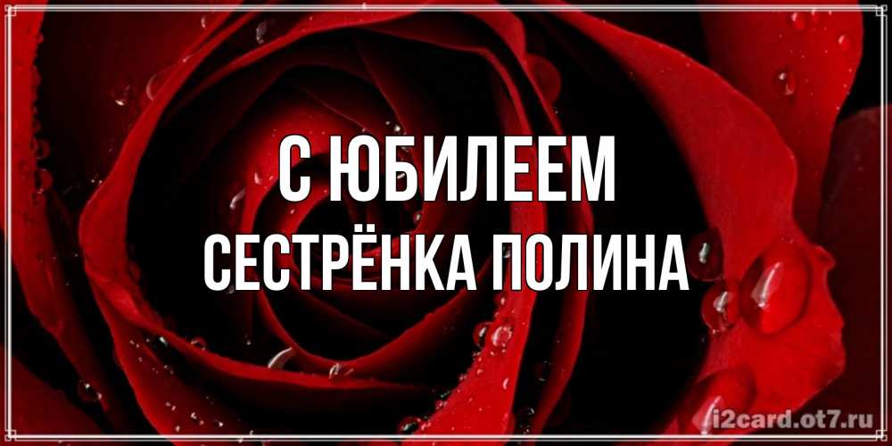Открытка на каждый день с именем, Сестрёнка-Полина С юбилеем крупная бордовая роза Прикольная открытка с пожеланием онлайн скачать бесплатно 