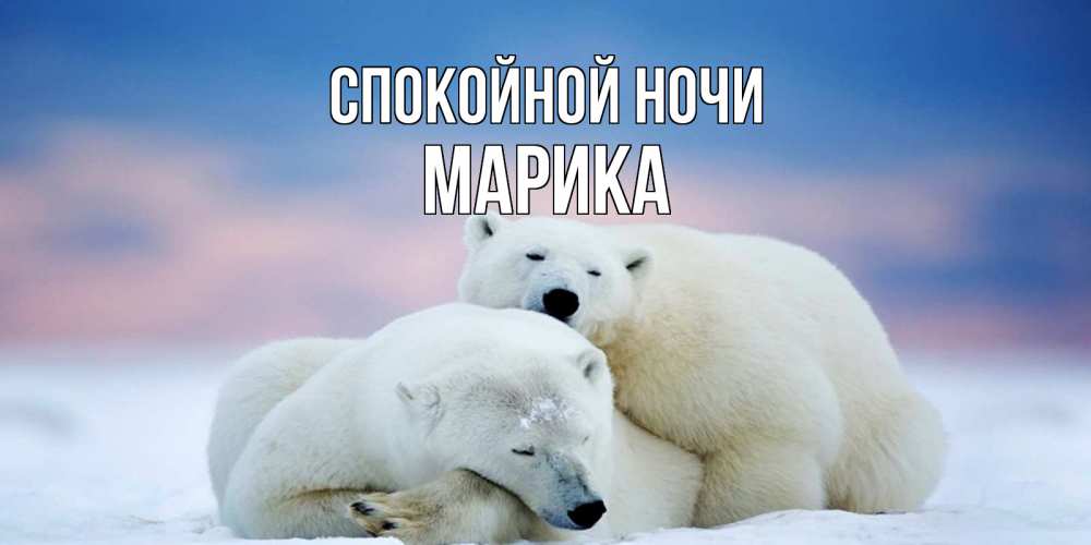 Открытка на каждый день с именем, Марика Спокойной ночи белые медведи спят в обнимку Прикольная открытка с пожеланием онлайн скачать бесплатно 