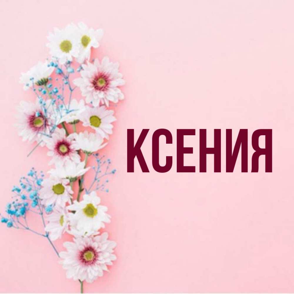 День ксюши картинки