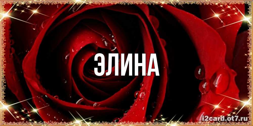 Открытка на каждый день с именем, Элина Главная цветок в росе на день рождения Прикольная открытка с пожеланием онлайн скачать бесплатно 