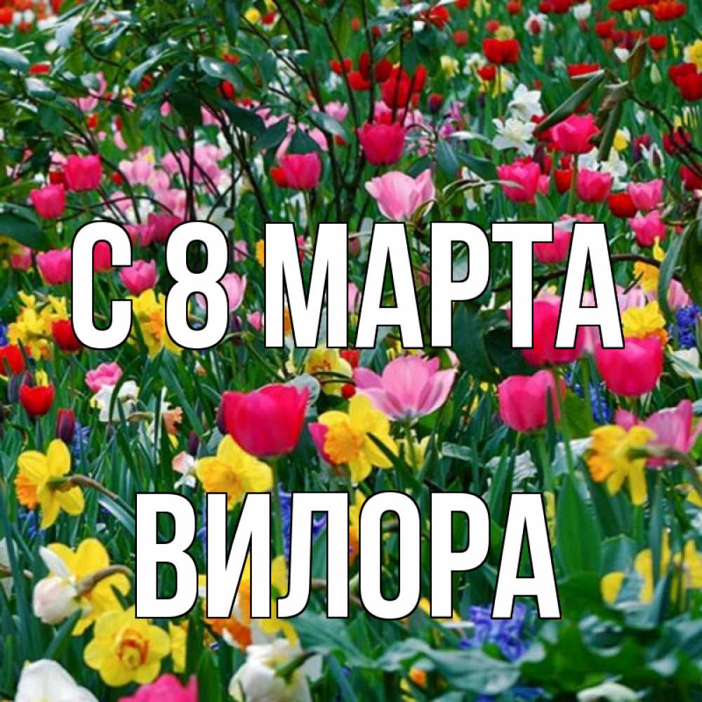 Открытка на каждый день с именем, Вилора С 8 марта с международным женским днем поздравления для женщины Прикольная открытка с пожеланием онлайн скачать бесплатно 
