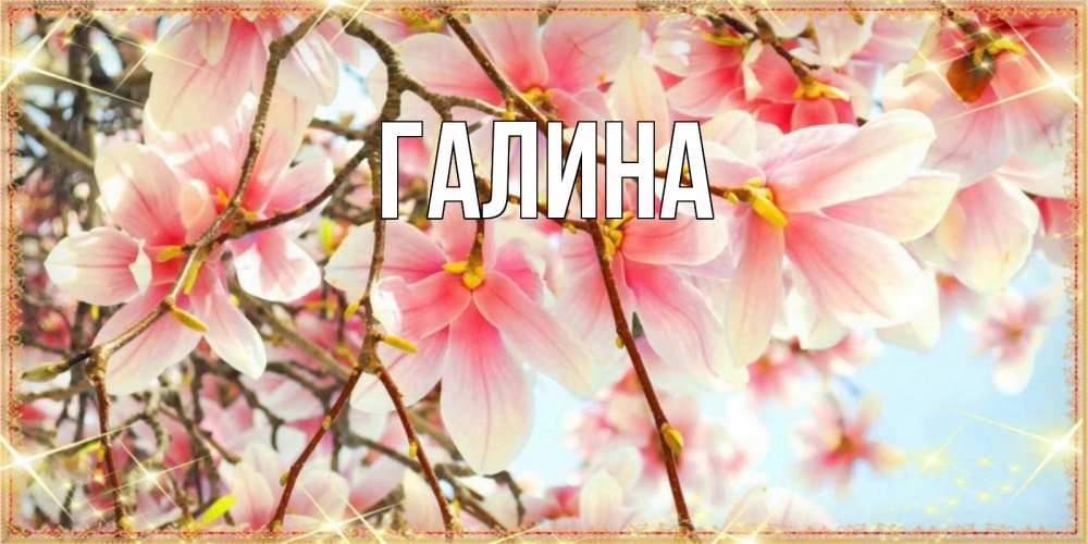Открытка на каждый день с именем, Галина Главная цветы деревьев на 8 марта Прикольная открытка с пожеланием онлайн скачать бесплатно 