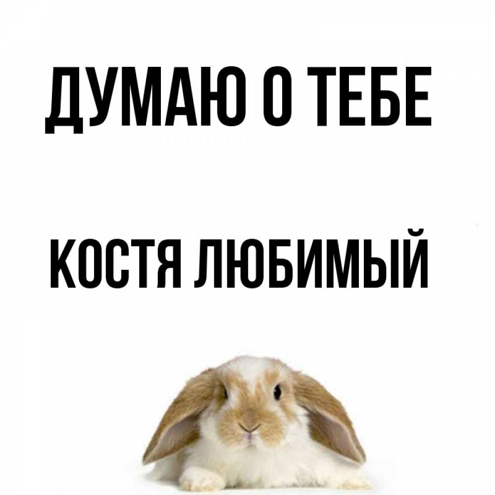 Спасибо костя картинка