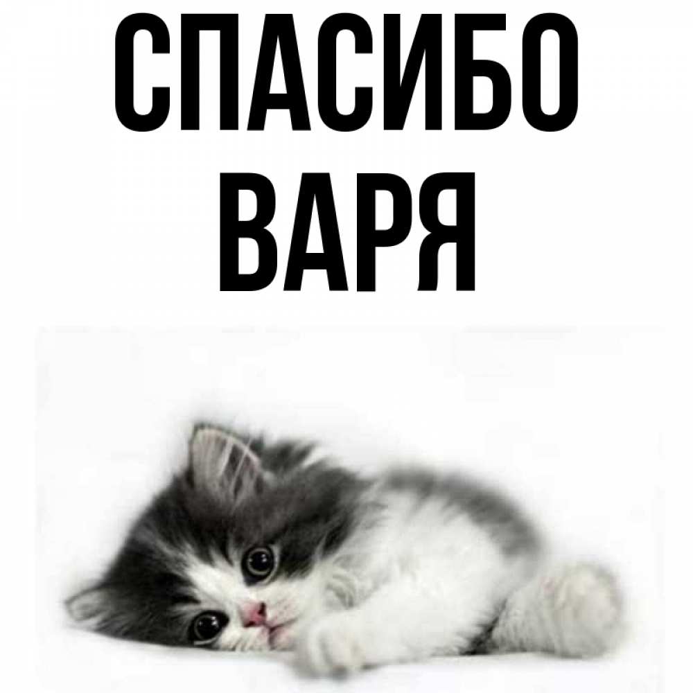 Привет варя картинки
