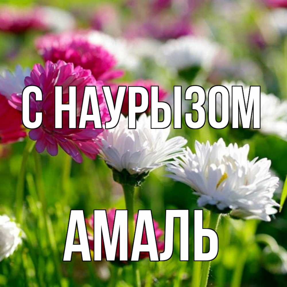 Открытка на каждый день с именем, Амаль С наурызом праздник весны наурыз красота Прикольная открытка с пожеланием онлайн скачать бесплатно 