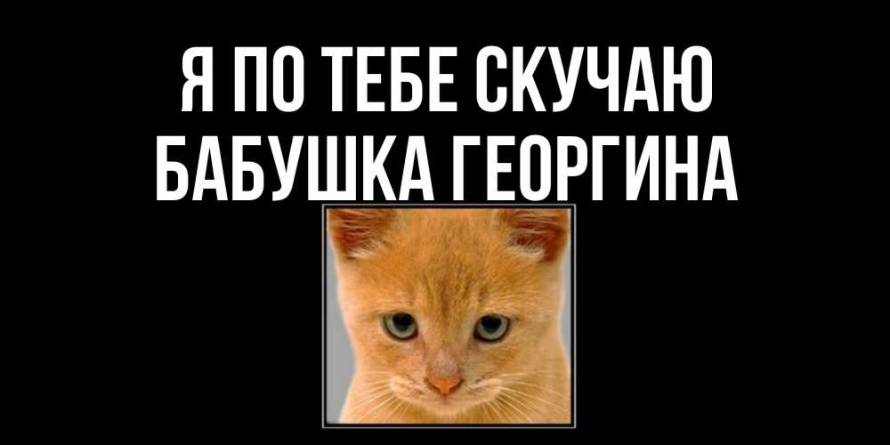 Открытка на каждый день с именем, Бабушка-Георгина Я по тебе скучаю открытки рыжий котенок скучает по тебе Прикольная открытка с пожеланием онлайн скачать бесплатно 