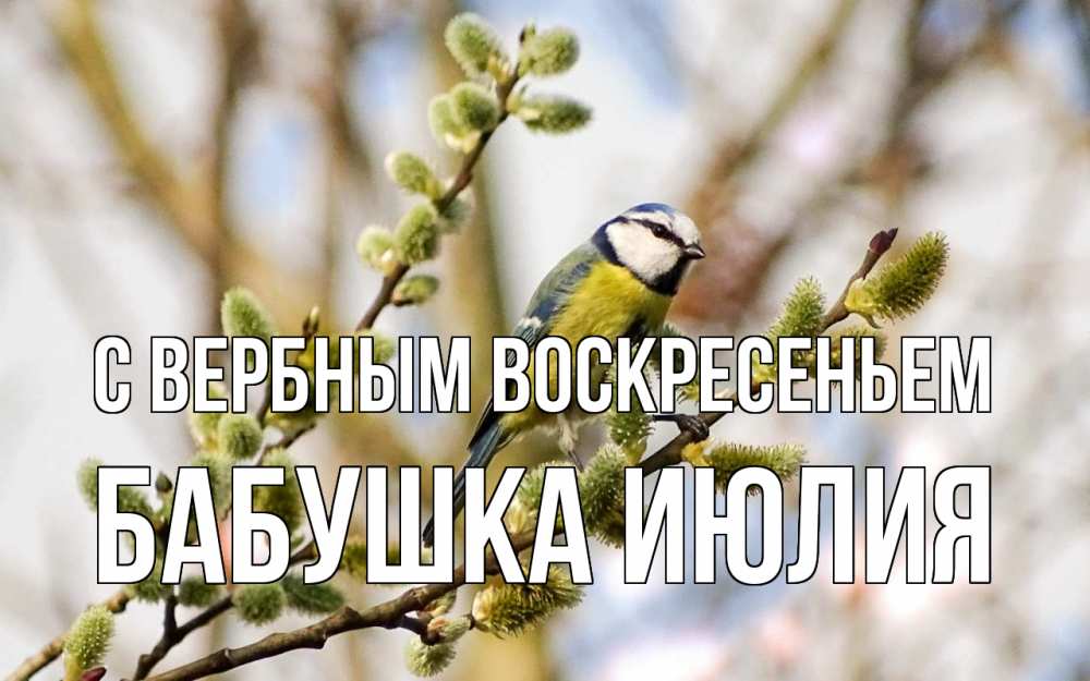 Открытка на каждый день с именем, Бабушка-Июлия С вербным воскресеньем верба Прикольная открытка с пожеланием онлайн скачать бесплатно 
