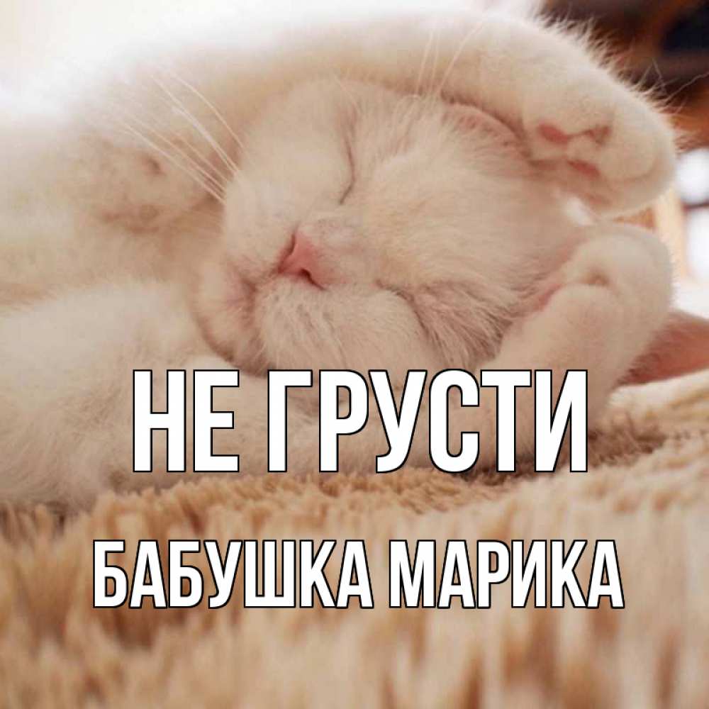 Открытка на каждый день с именем, Бабушка-Марика Не грусти белый кот Прикольная открытка с пожеланием онлайн скачать бесплатно 