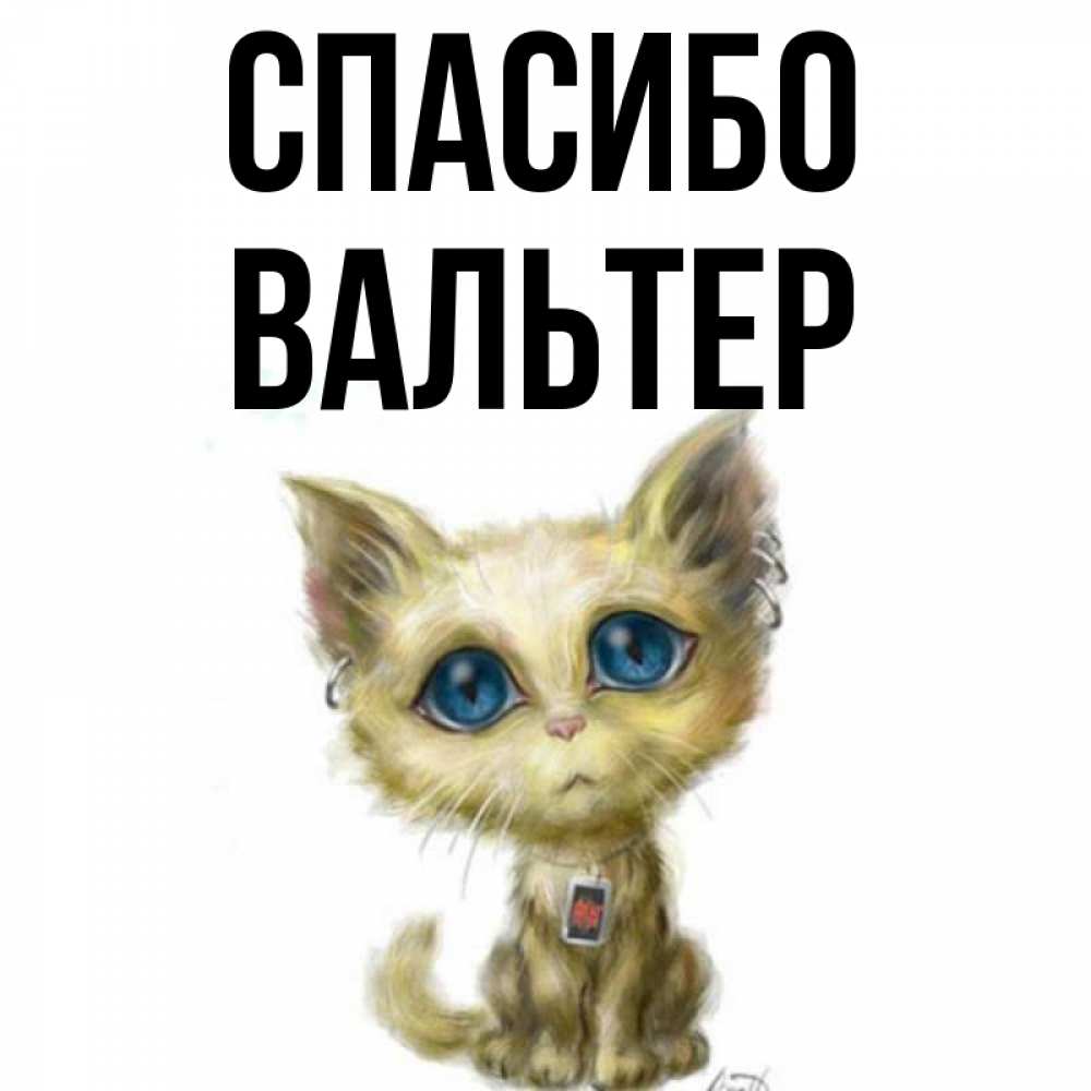 Открытка на каждый день с именем, Вальтер Спасибо рисованный кот благодарит вас Прикольная открытка с пожеланием онлайн скачать бесплатно 