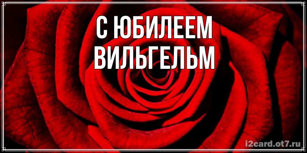 Открытка на каждый день с именем, Вильгельм С юбилеем алая роза Прикольная открытка с пожеланием онлайн скачать бесплатно 