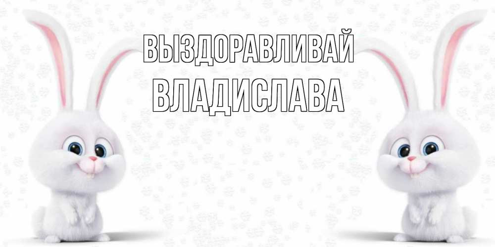 Открытка на каждый день с именем, Владислава Выздоравливай не болей с зайцем Прикольная открытка с пожеланием онлайн скачать бесплатно 