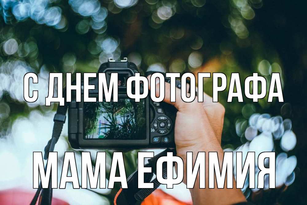 Открытка на каждый день с именем, Мама-Ефимия С днем фотографа с днем фотографа Прикольная открытка с пожеланием онлайн скачать бесплатно 