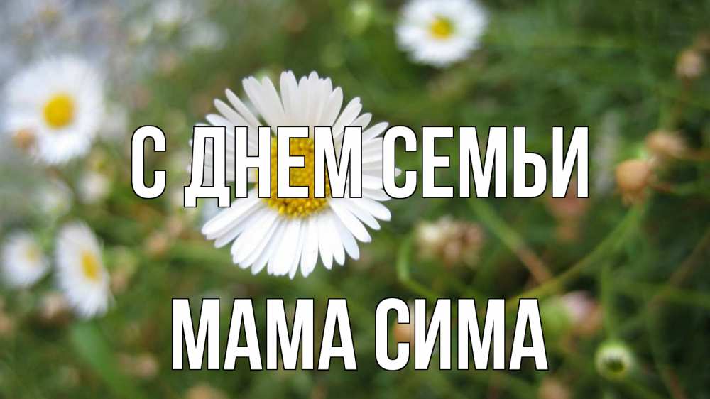 Открытка на каждый день с именем, Мама-Сима С днем семьи с днем семьи Прикольная открытка с пожеланием онлайн скачать бесплатно 