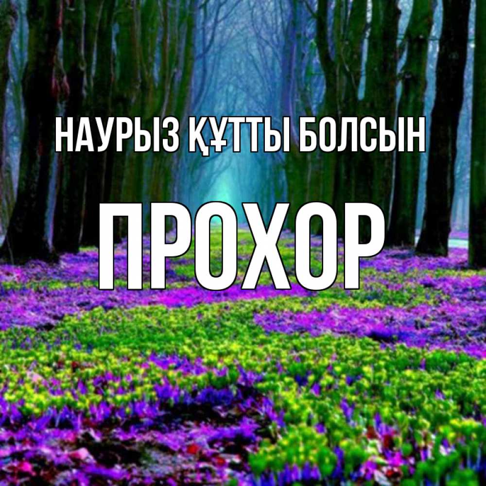 Открытка на каждый день с именем, Прохор Наурыз құтты болсын фиолетовые цветы в лесу 1 Прикольная открытка с пожеланием онлайн скачать бесплатно 