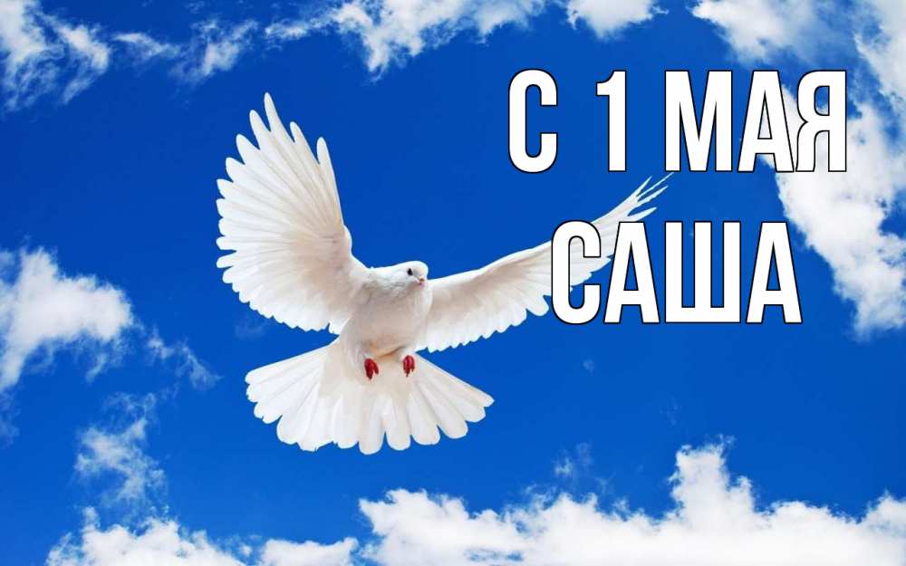 Открытка на каждый день с именем, Саша С 1 мая С 1 мая 1 Прикольная открытка с пожеланием онлайн скачать бесплатно 