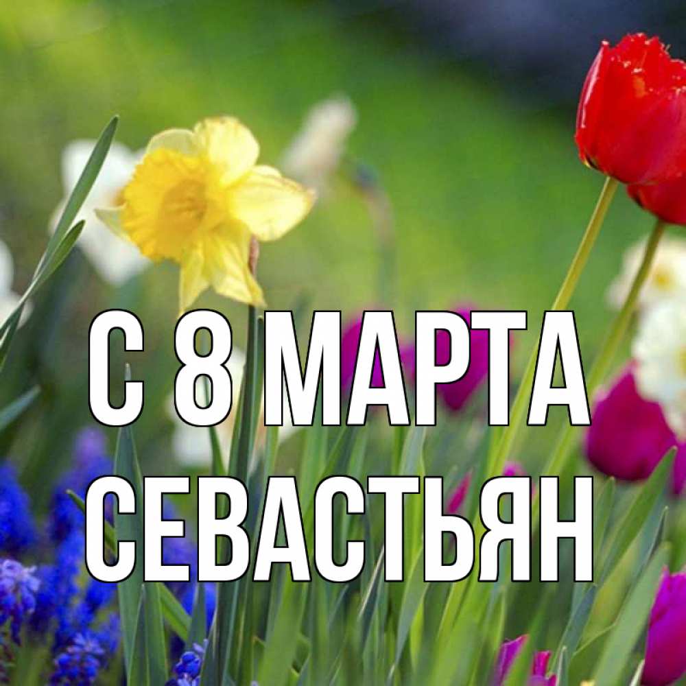 Открытка на каждый день с именем, Севастьян С 8 МАРТА международный женский день 3 Прикольная открытка с пожеланием онлайн скачать бесплатно 