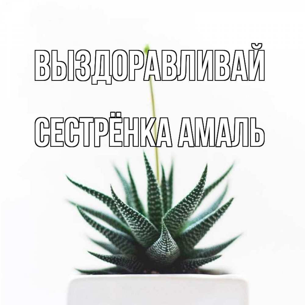 Открытка на каждый день с именем, Сестрёнка-Амаль Выздоравливай короче это непонятная колючка Прикольная открытка с пожеланием онлайн скачать бесплатно 