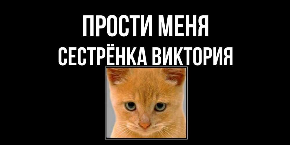 Открытка на каждый день с именем, Сестрёнка-Виктория Прости меня рыжий грустный кот просит прощения Прикольная открытка с пожеланием онлайн скачать бесплатно 