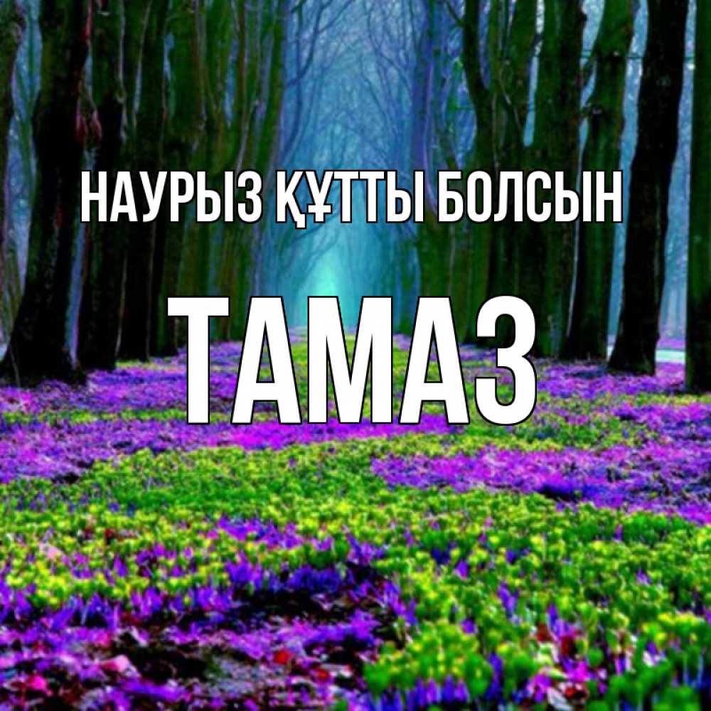 Открытка на каждый день с именем, Тамаз Наурыз құтты болсын фиолетовые цветы в лесу 1 Прикольная открытка с пожеланием онлайн скачать бесплатно 