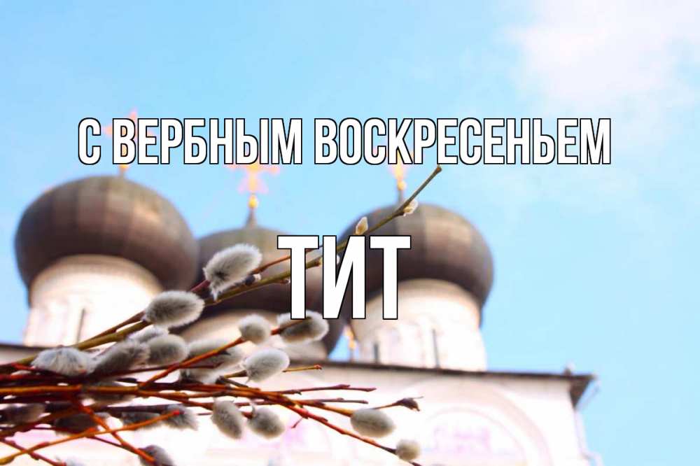 Открытка на каждый день с именем, Тит С вербным воскресеньем верба Прикольная открытка с пожеланием онлайн скачать бесплатно 
