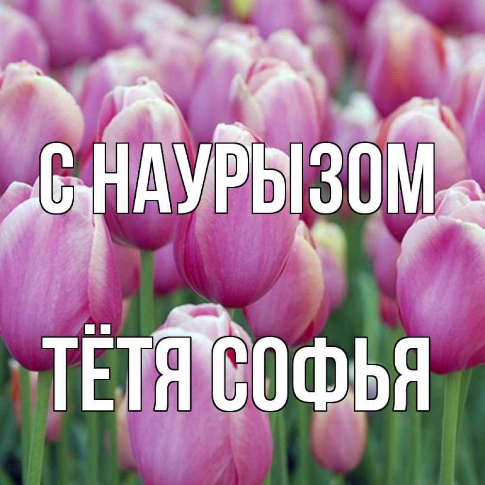 Открытка на каждый день с именем, Тётя-Софья С наурызом праздник весны наурыз 69 Прикольная открытка с пожеланием онлайн скачать бесплатно 