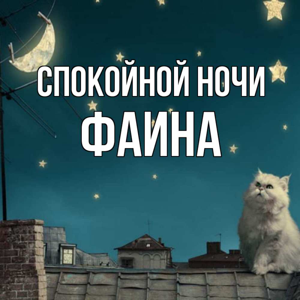 Открытка на каждый день с именем, Фаина Спокойной ночи белый кот сидит на крыше Прикольная открытка с пожеланием онлайн скачать бесплатно 