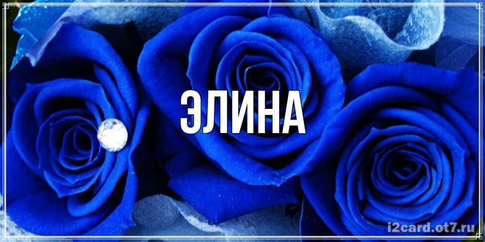 Открытка на каждый день с именем, Элина Главная синие розы в росе Прикольная открытка с пожеланием онлайн скачать бесплатно 