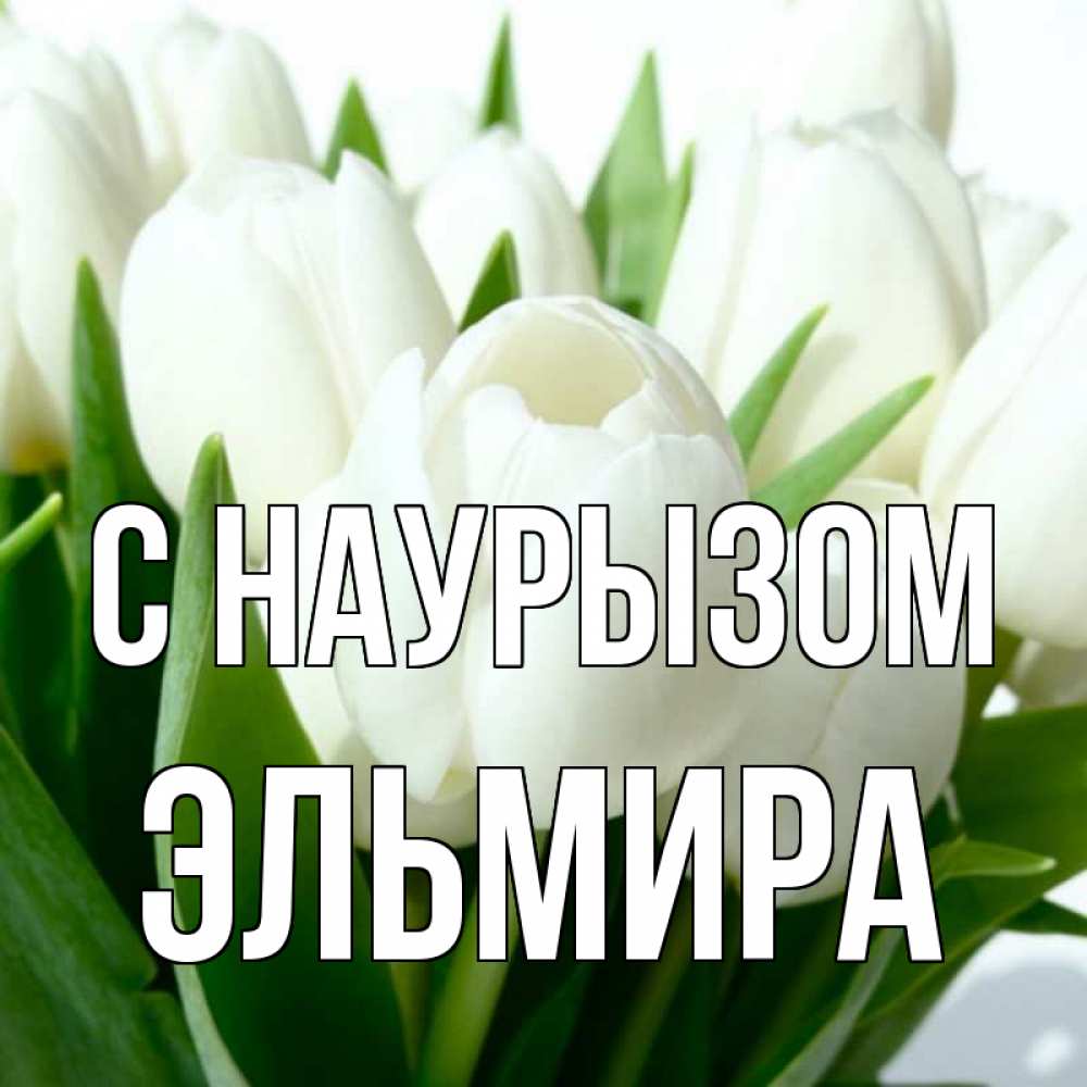 Открытка на каждый день с именем, Эльмира С наурызом цветы Прикольная открытка с пожеланием онлайн скачать бесплатно 