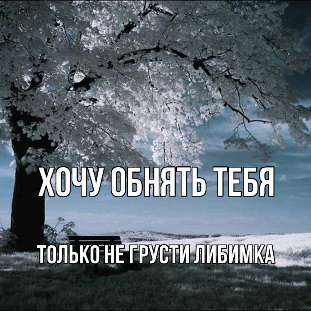 Открытка на каждый день с именем, только-не-грусти-либимка Хочу обнять тебя дерево Прикольная открытка с пожеланием онлайн скачать бесплатно 