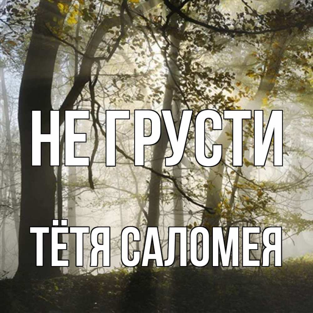 Открытка на каждый день с именем, Тётя-Саломея Не грусти лес и свет Прикольная открытка с пожеланием онлайн скачать бесплатно 