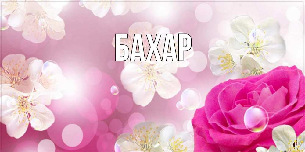 Открытка на каждый день с именем, Бахар Главная красивые цветы Прикольная открытка с пожеланием онлайн скачать бесплатно 