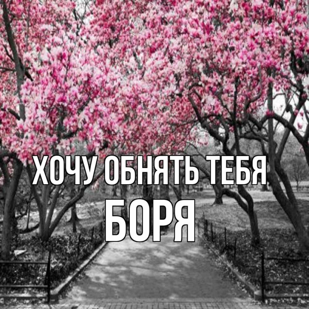 Открытка на каждый день с именем, Боря Хочу обнять тебя обработанное фото Прикольная открытка с пожеланием онлайн скачать бесплатно 