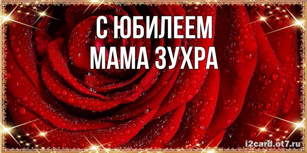 Открытка на каждый день с именем, Мама-Зухра С юбилеем роса на розе блестящая в лучах солнца Прикольная открытка с пожеланием онлайн скачать бесплатно 