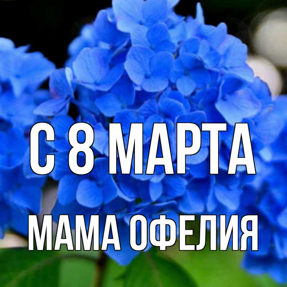 Открытка на каждый день с именем, Мама-Офелия С 8 марта синие цветы Прикольная открытка с пожеланием онлайн скачать бесплатно 