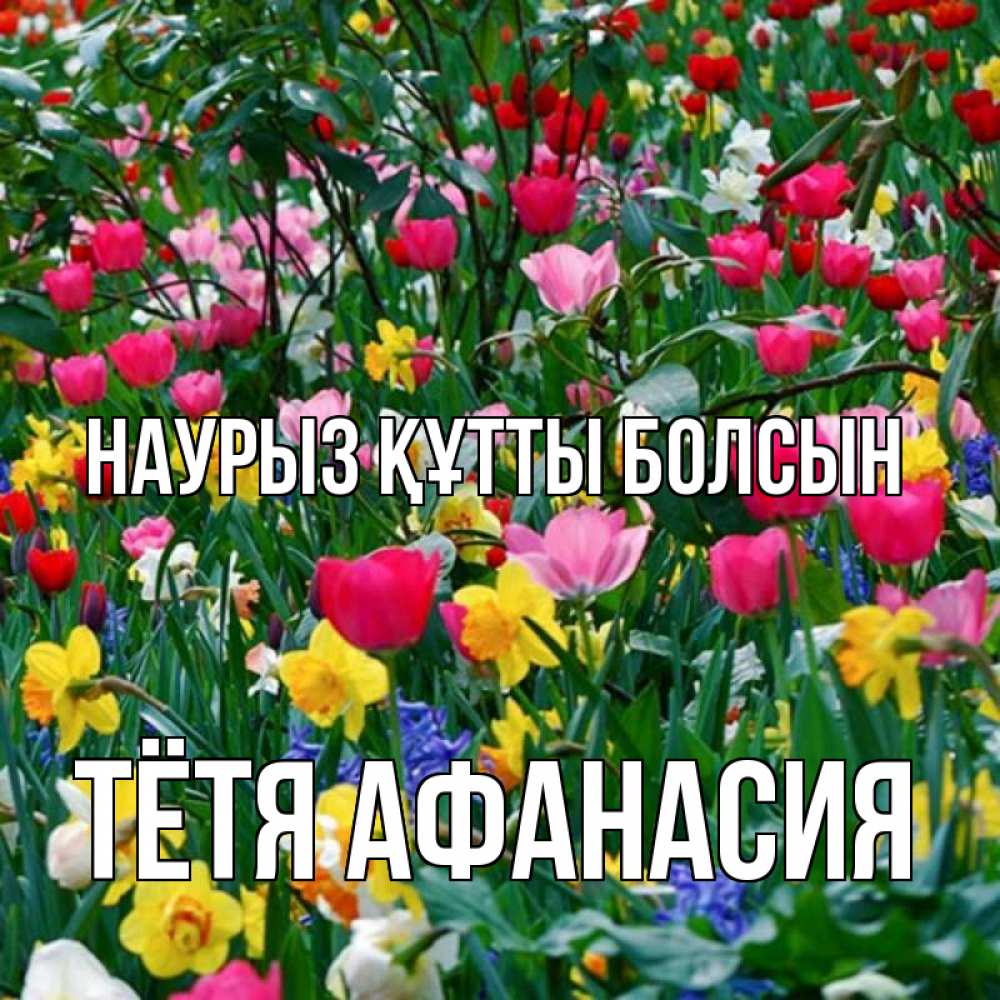 Открытка на каждый день с именем, Тётя-Афанасия Наурыз құтты болсын с наурызом поздравления для женщины Прикольная открытка с пожеланием онлайн скачать бесплатно 