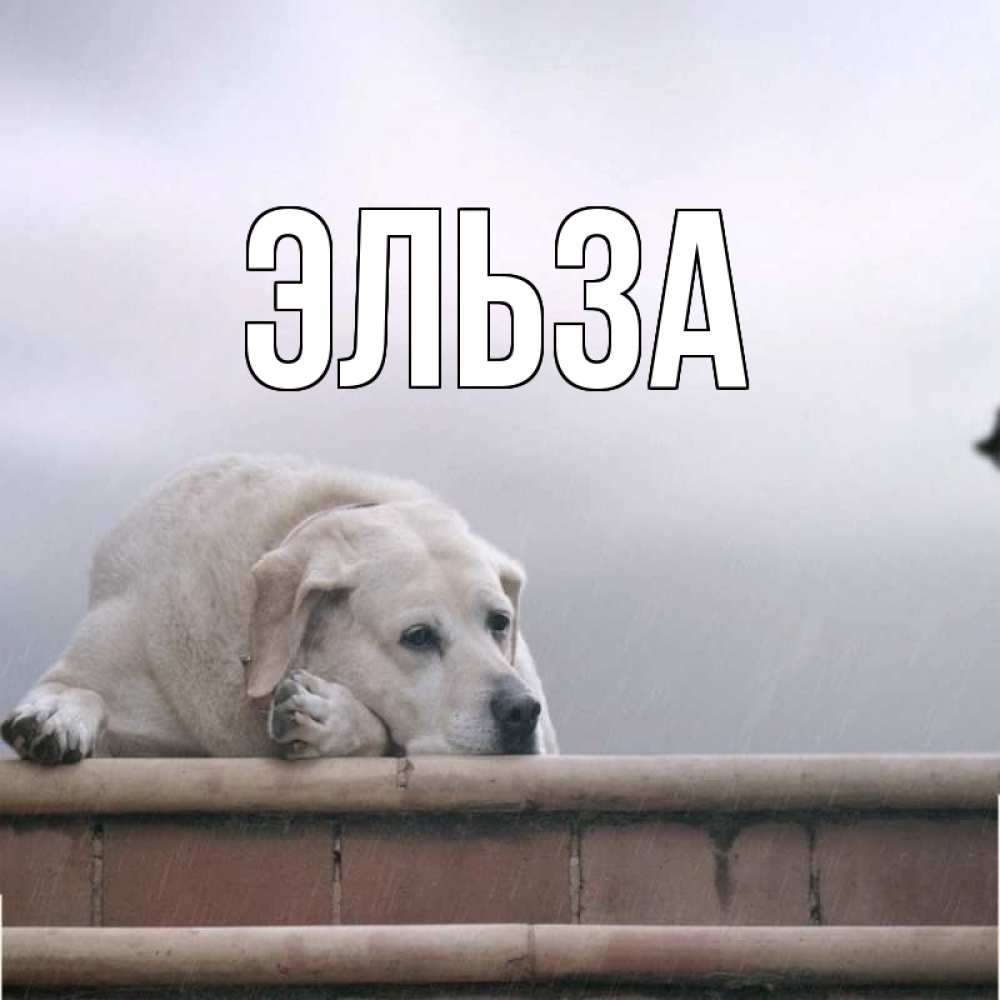 Картинка  с именем , Эльза