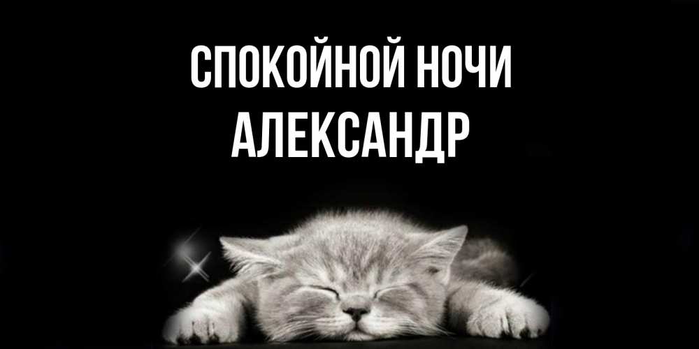 Открытка на каждый день с именем, Александр Спокойной ночи спящий котик Прикольная открытка с пожеланием онлайн скачать бесплатно 