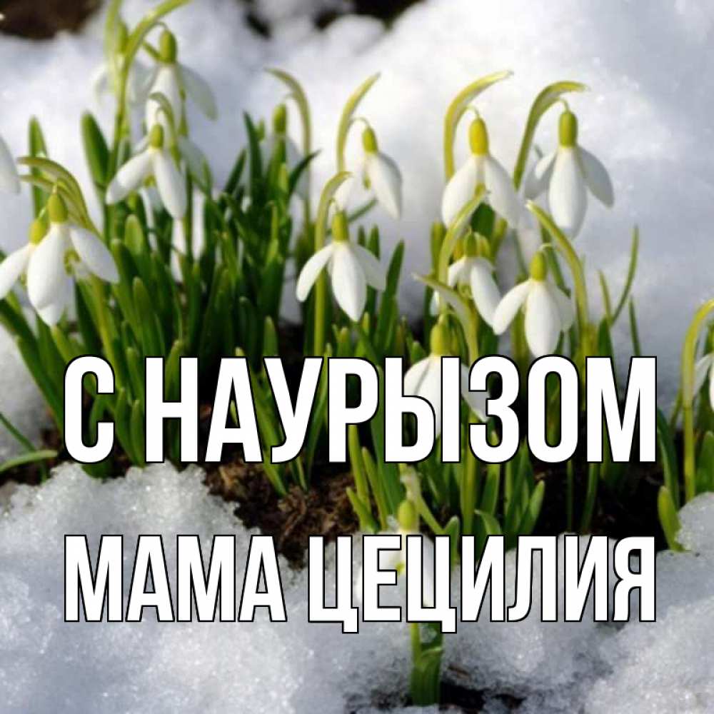 Открытка на каждый день с именем, Мама-Цецилия С наурызом цветы весенние Прикольная открытка с пожеланием онлайн скачать бесплатно 