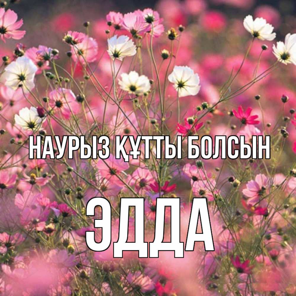 Открытка на каждый день с именем, Эдда Наурыз құтты болсын красиво 1 Прикольная открытка с пожеланием онлайн скачать бесплатно 