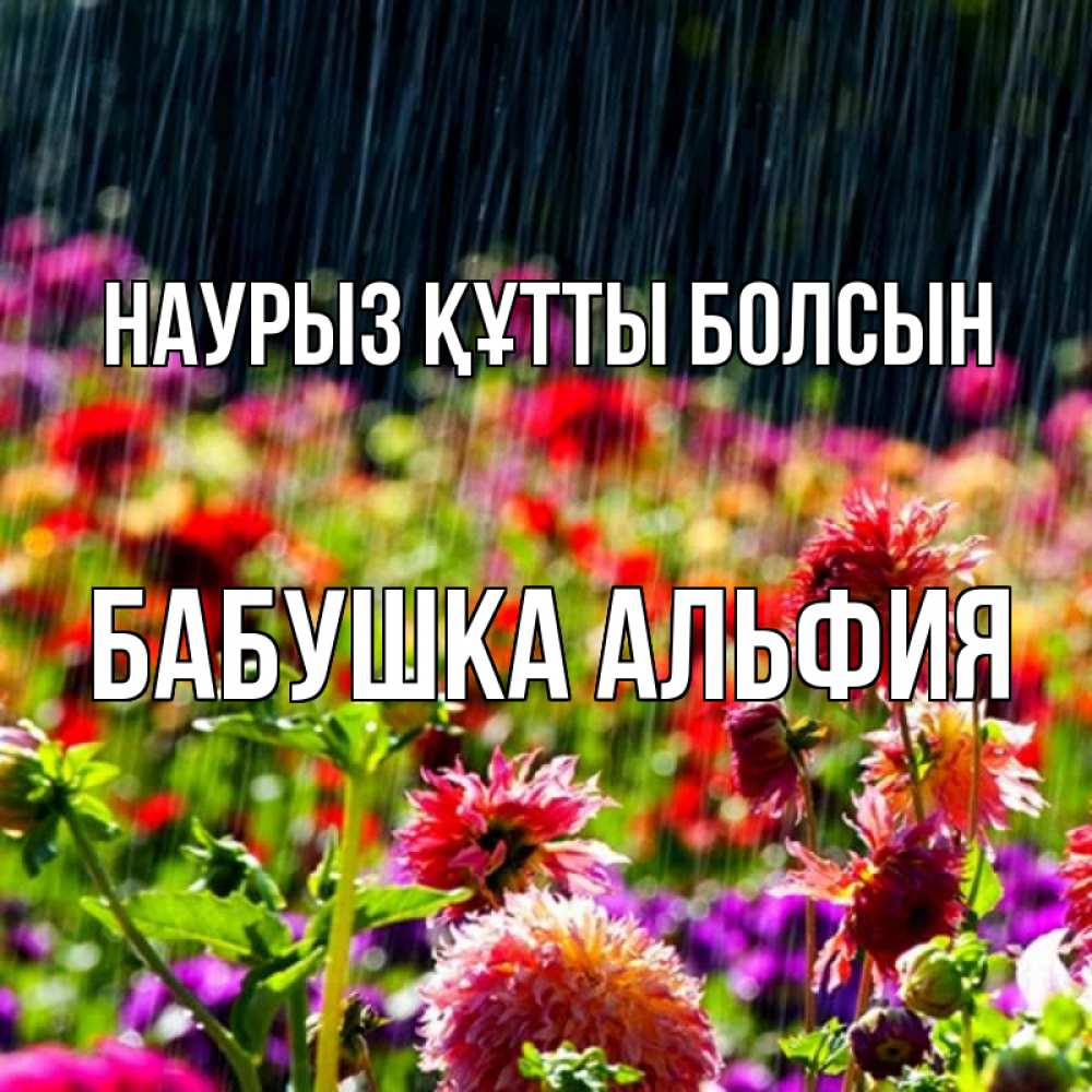 Открытка на каждый день с именем, Бабушка-Альфия Наурыз құтты болсын цветы под дождиком к наурызу Прикольная открытка с пожеланием онлайн скачать бесплатно 