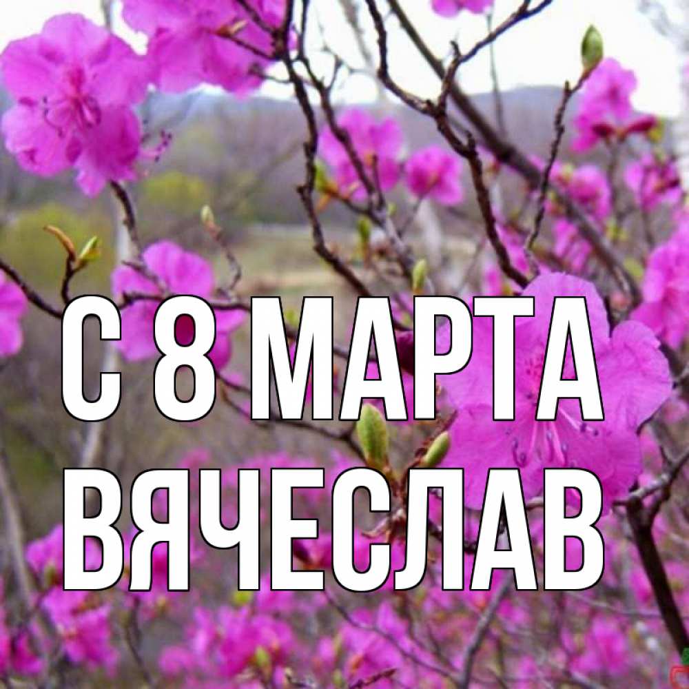 Открытка на каждый день с именем, Вячеслав С 8 МАРТА международный женский день Прикольная открытка с пожеланием онлайн скачать бесплатно 