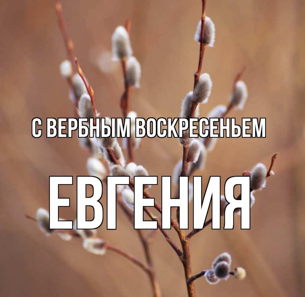 Открытка на каждый день с именем, Евгения С вербным воскресеньем верба Прикольная открытка с пожеланием онлайн скачать бесплатно 
