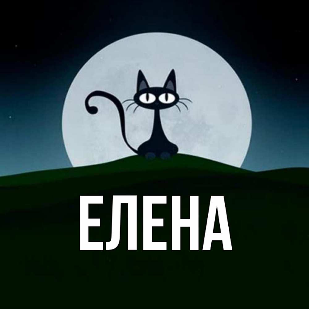 Открытка на каждый день с именем, Елена Главная хорошо выспаться ночью и без кошмаров Прикольная открытка с пожеланием онлайн скачать бесплатно 