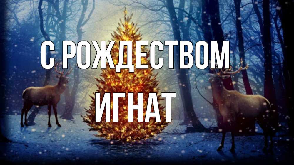 Открытка на каждый день с именем, Игнат С рождеством олени, новогодняя елка Прикольная открытка с пожеланием онлайн скачать бесплатно 