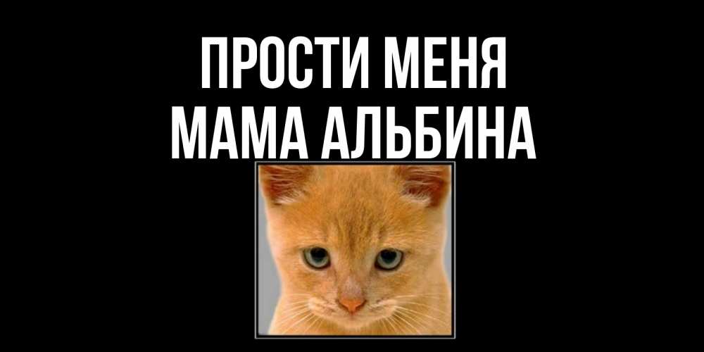 Открытка на каждый день с именем, Мама-Альбина Прости меня рыжий грустный кот просит прощения Прикольная открытка с пожеланием онлайн скачать бесплатно 