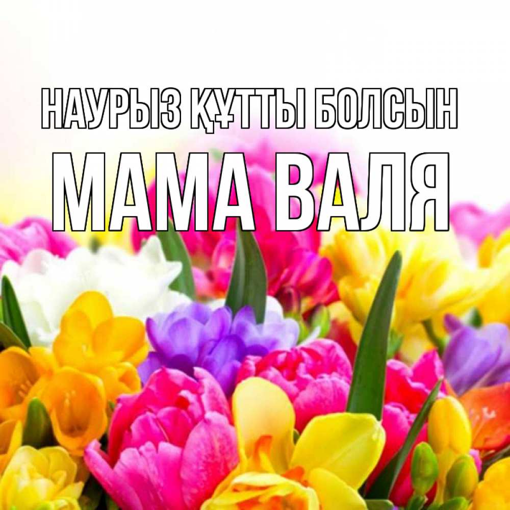 Открытка на каждый день с именем, Мама-Валя Наурыз құтты болсын тюльпаны Прикольная открытка с пожеланием онлайн скачать бесплатно 